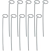 Cabilock - 10 estacas de soporte para plantas de jardín para Amaryllis- orquídea y lirios rosa tomates (20 pulgadas)